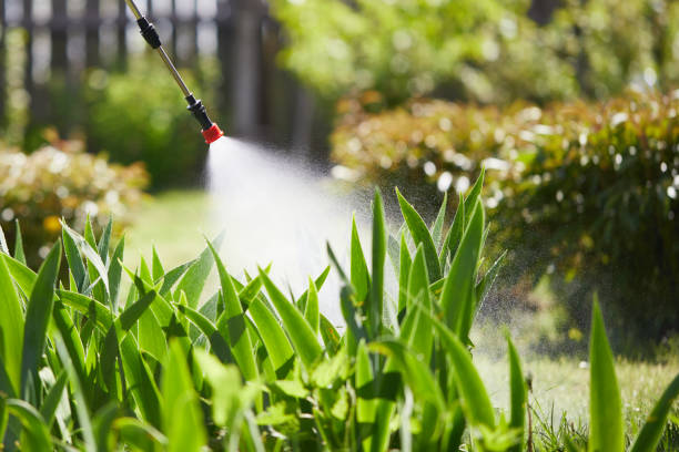 24/7 Emergency Mosquito Control experts in Rutledge, GA